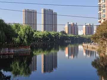 2025天天彩免費資料大全跟管家婆正版管家2025詞語釋義、專家解析解釋與落實與警惕虛假宣傳